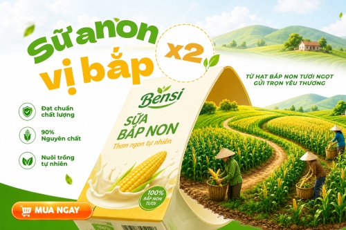 Mẫu Bài post MXH ngang Bài post MXH ngang — LayerPic