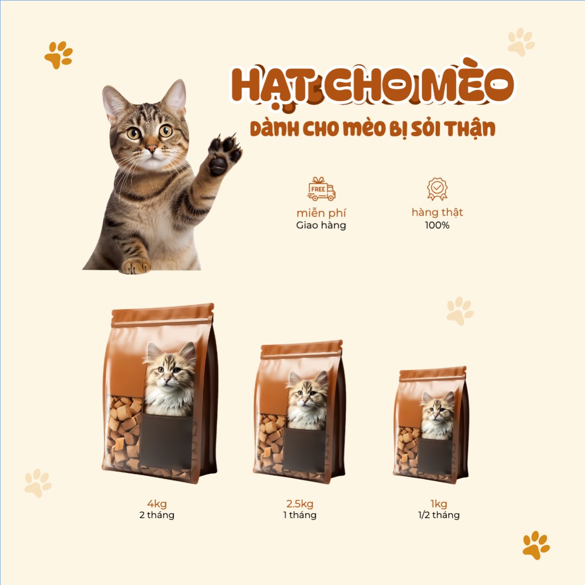 Mẫu Ảnh Sản Phẩm Thức ăn cho mèo, mèo, cat, pet, thú cưng, thú nuôi, động vật, animal — LayerPic