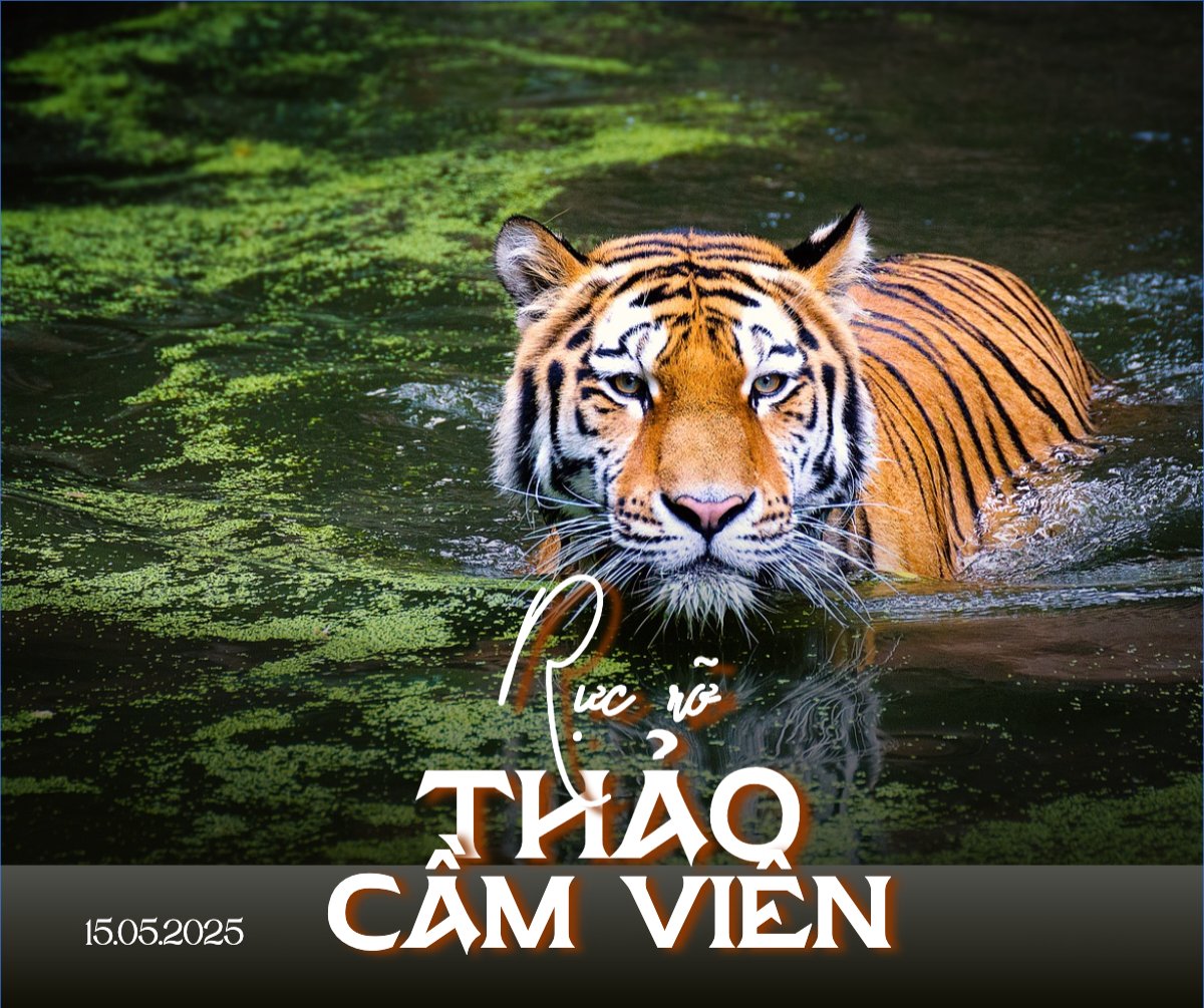 Mẫu Bài post MXH ngang Pet, thú cưng, thú nuôi, động vật, animal — LayerPic