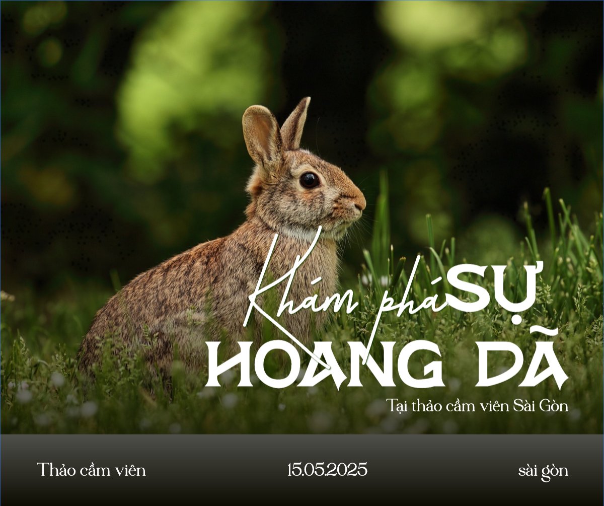 Mẫu Bài post MXH ngang Pet, thú cưng, thú nuôi, động vật, animal — LayerPic