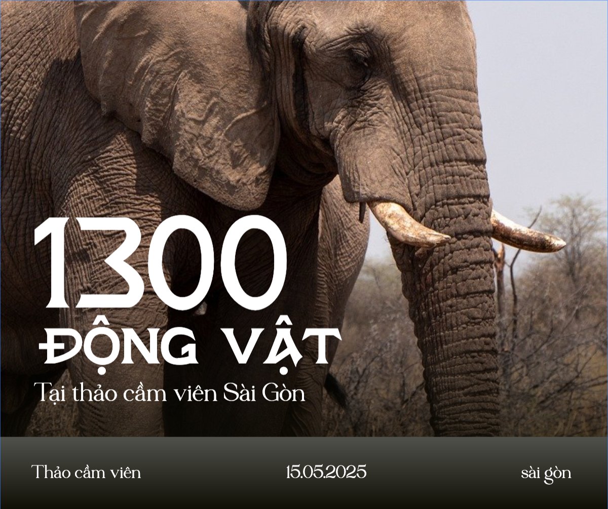 Mẫu Bài post MXH ngang Pet, thú cưng, thú nuôi, động vật, animal — LayerPic