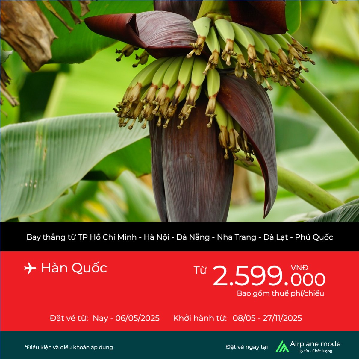 Mẫu Bài post MXH vuông Giảm giá, sale, du lịch, travel, tourism, trải nghiệm, khám phá — LayerPic