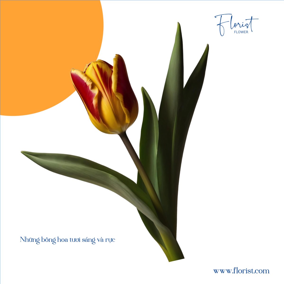 Mẫu Bài post MXH vuông Nông sản, agricultural, farm, flower shop, cửa hàng hoa — LayerPic