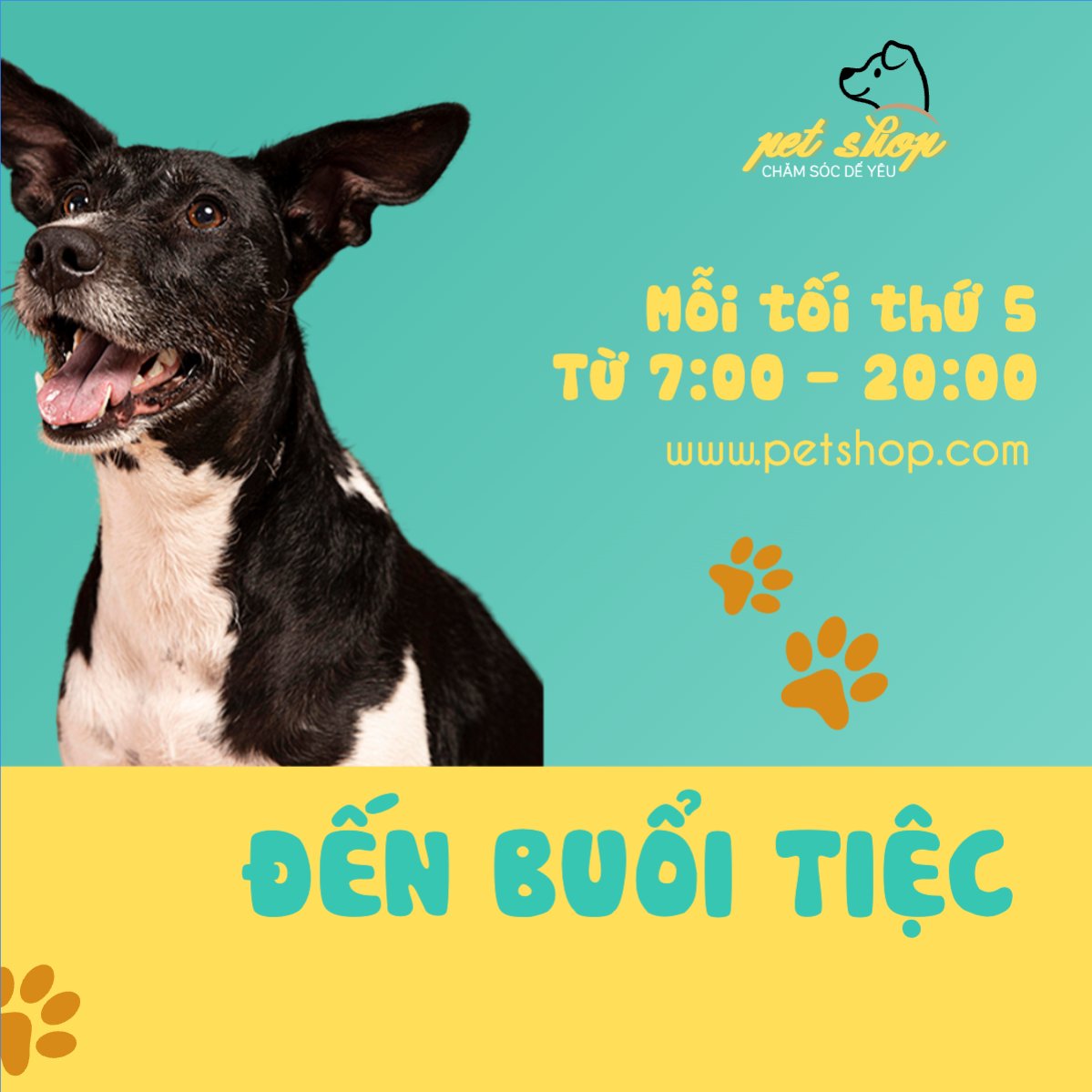 Mẫu Bài post MXH vuông Pet, thú cưng, thú nuôi, động vật, animal — LayerPic