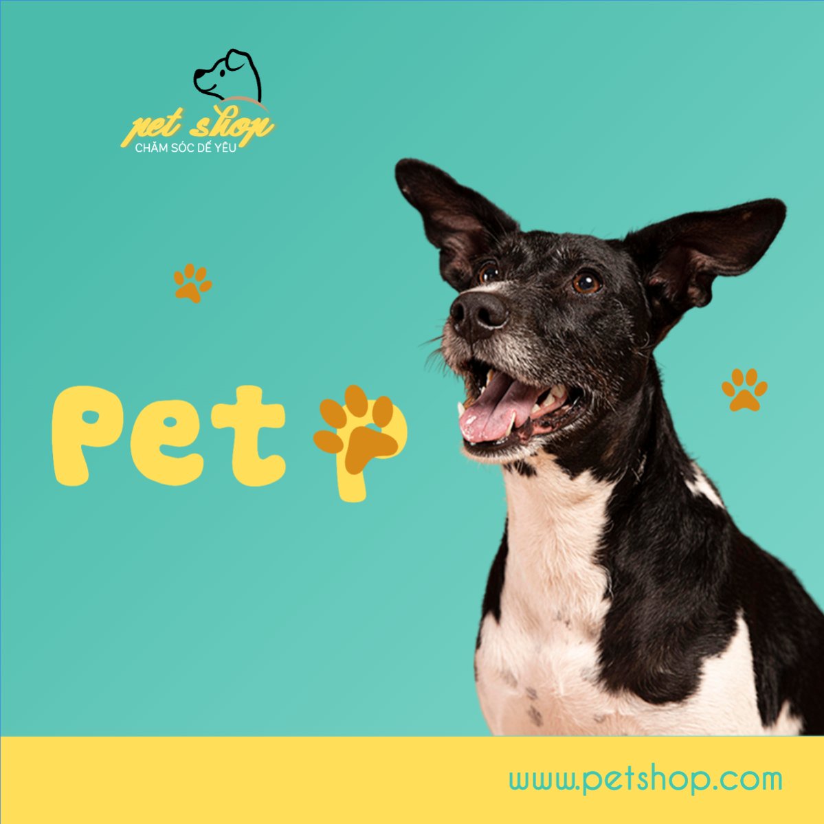 Mẫu Bài post MXH vuông Pet, thú cưng, thú nuôi, động vật, animal — LayerPic