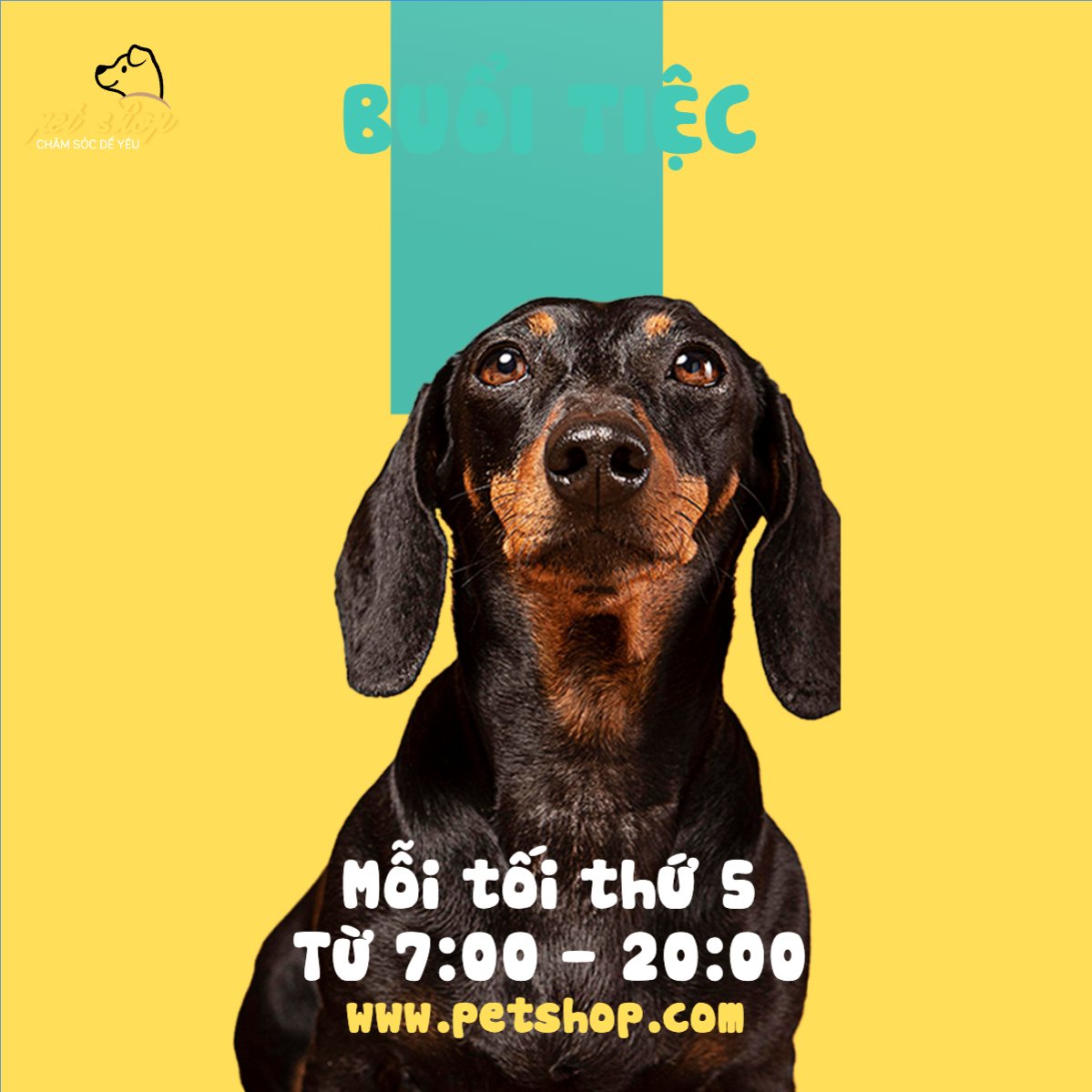 Mẫu Bài post MXH vuông Pet, thú cưng, thú nuôi, động vật, animal — LayerPic