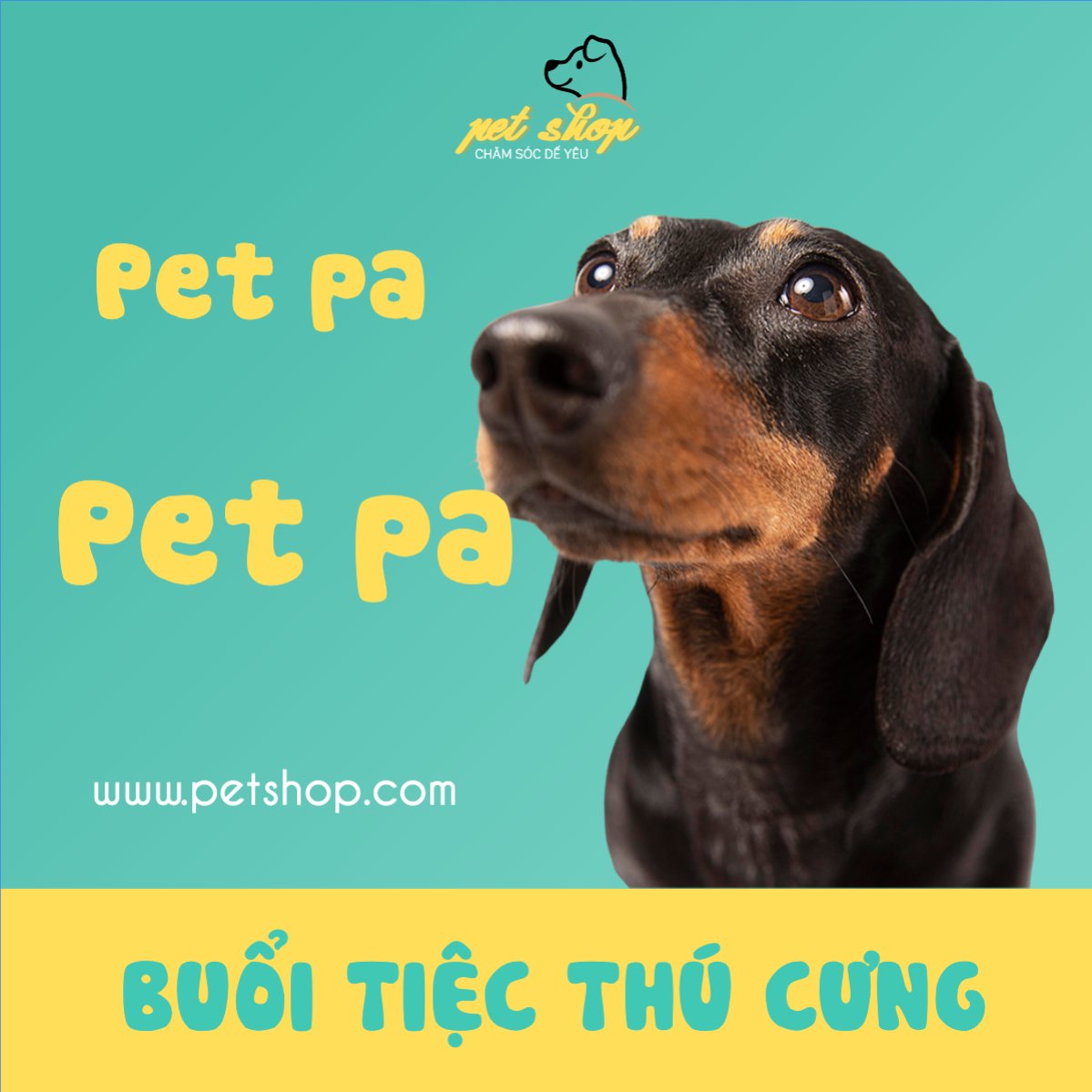 Mẫu Bài post MXH vuông Pet, thú cưng, thú nuôi, động vật, animal — LayerPic