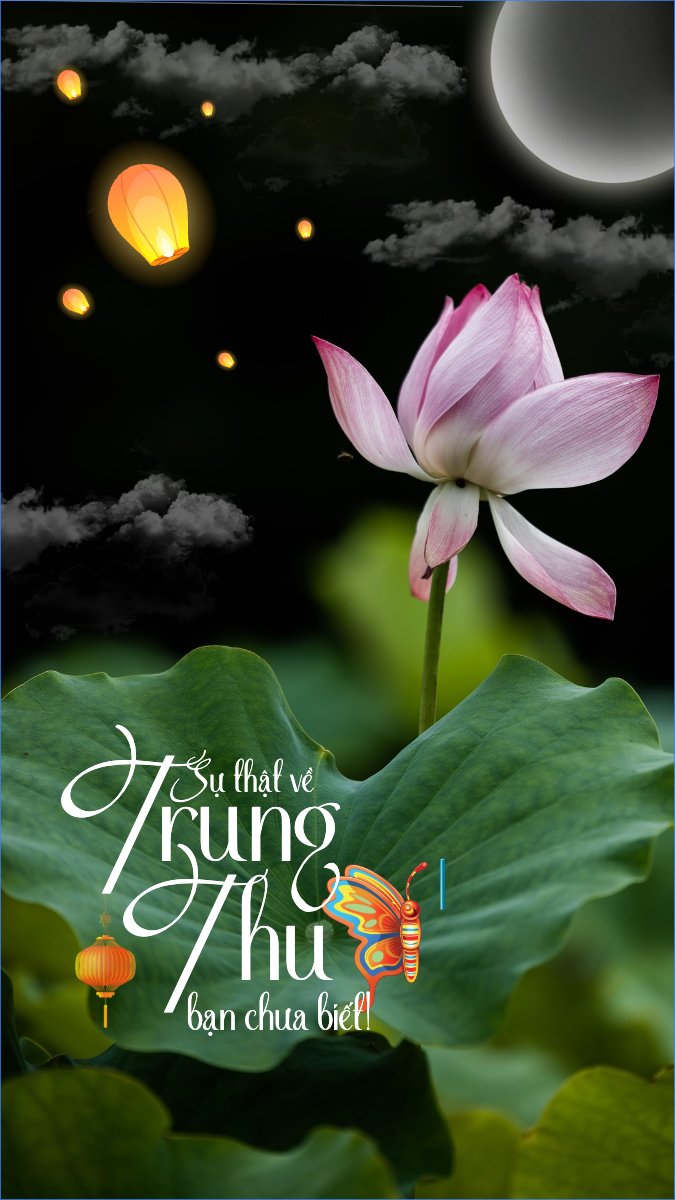 Trung thu, Tết Đoàn Viên, mid-autumn festival, sự kiện, event, hiện đại, modern, đơn giản