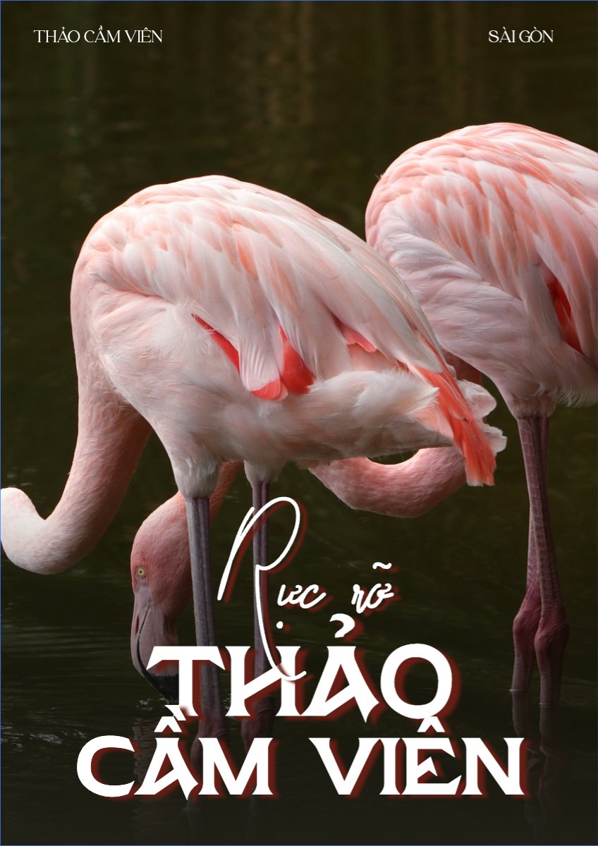 Pet, thú cưng, thú nuôi, động vật, animal