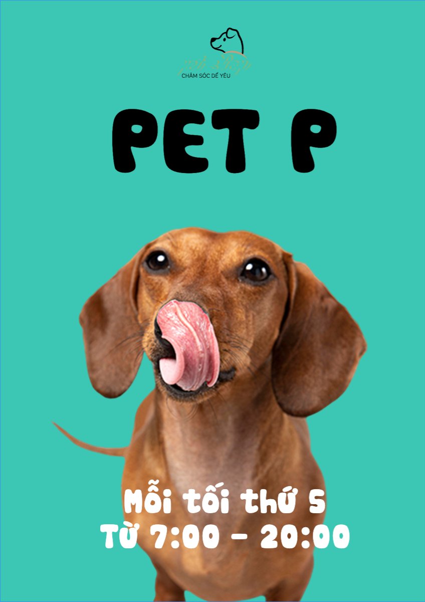 Pet, thú cưng, thú nuôi, động vật, animal