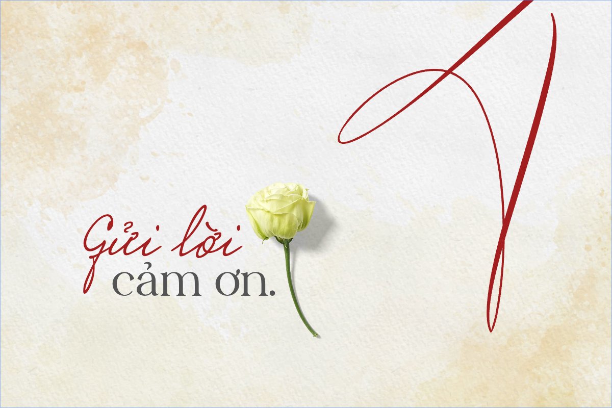 Đơn giản, simple, minimalist, tối giản, hoa lá