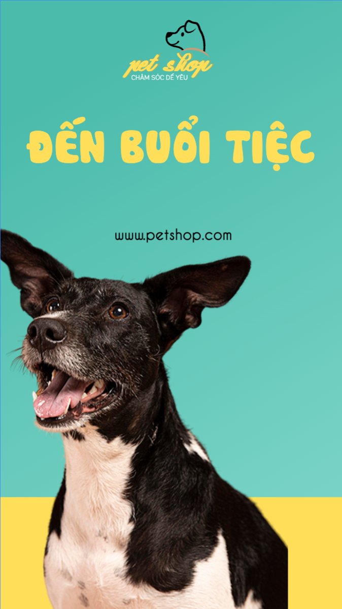 Mẫu Bài post MXH (9:16) Pet, thú cưng, thú nuôi, động vật, animal — LayerPic