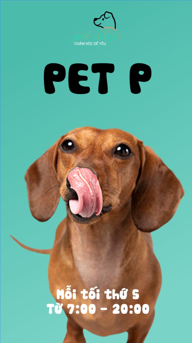 Mẫu Bài post MXH (9:16) Pet, thú cưng, thú nuôi, động vật, animal — LayerPic