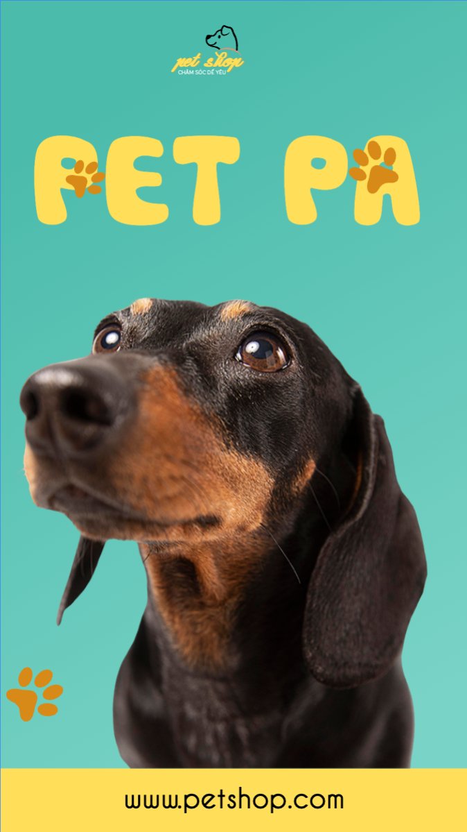 Mẫu Bài post MXH (9:16) Pet, thú cưng, thú nuôi, động vật, animal — LayerPic