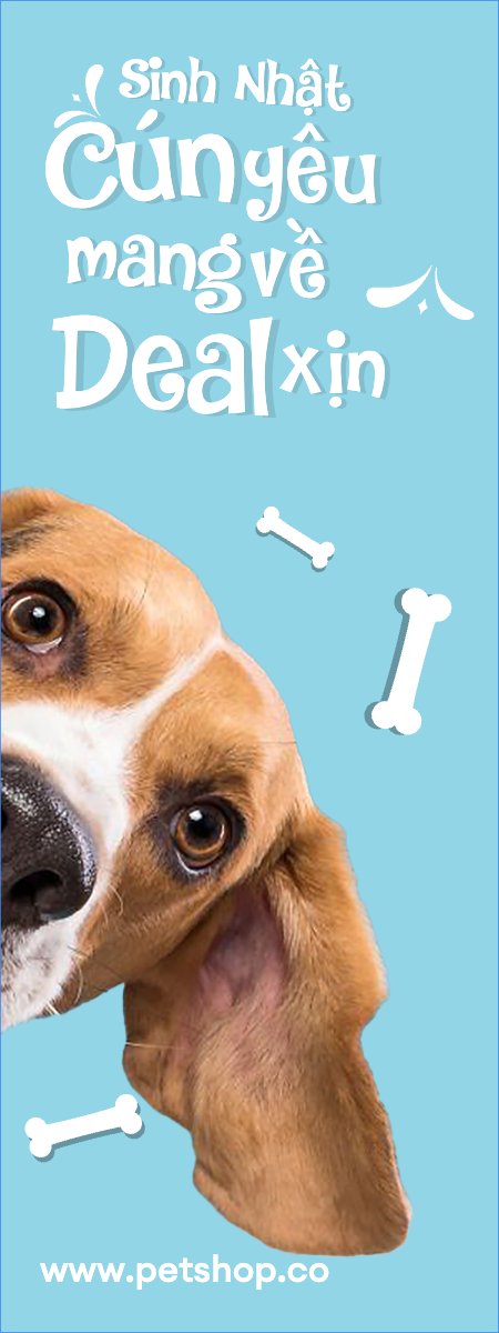 Pet, thú cưng, thú nuôi, động vật, animal