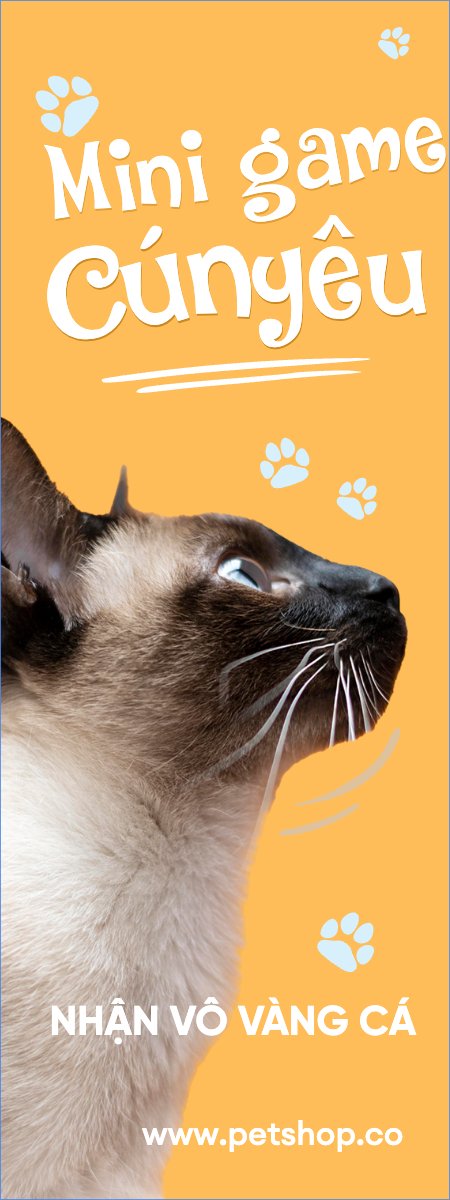 Pet, thú cưng, thú nuôi, động vật, animal