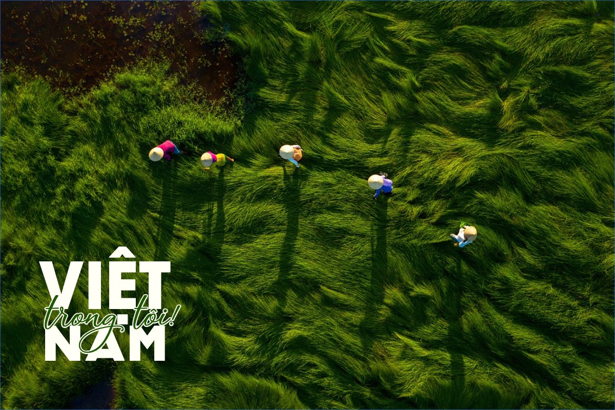 Mẫu Postcard Việt Nam, phong cảnh, thiên nhiên, đơn giản, simple, minimalist, tối giản — LayerPic