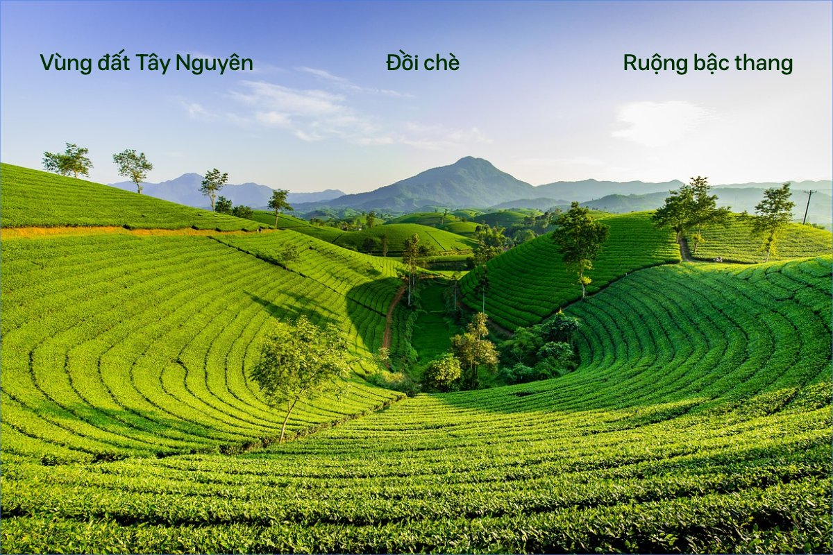 Mẫu Postcard Việt Nam, phong cảnh, thiên nhiên, đơn giản, simple, minimalist, tối giản — LayerPic
