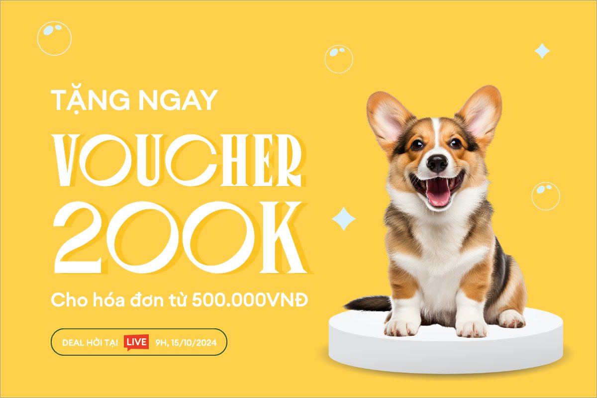 Pet, thú cưng, thú nuôi, động vật, animal, dog, chó