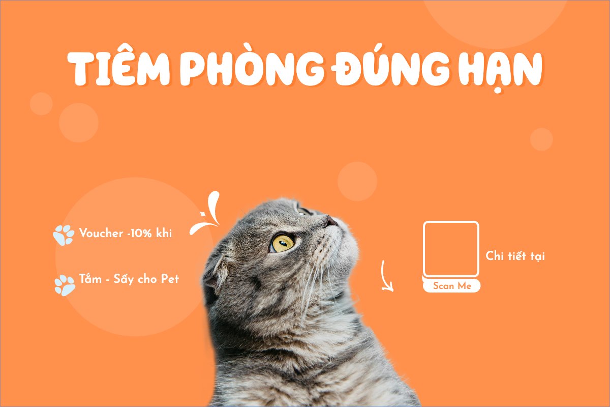 Mẫu Banner - Băng rôn Pet, thú cưng, thú nuôi, động vật, animal, mèo, cat — LayerPic