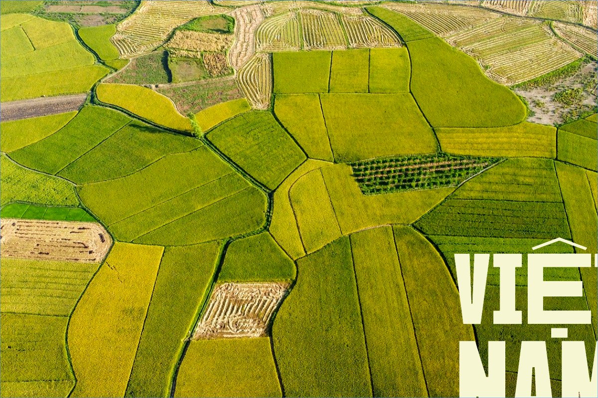Mẫu Postcard Việt Nam, phong cảnh, thiên nhiên, đơn giản, simple, minimalist, tối giản — LayerPic