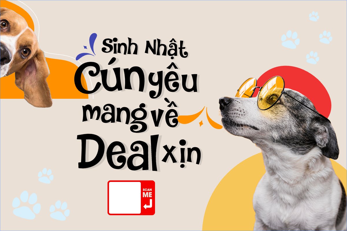 Pet, thú cưng, thú nuôi, động vật, animal