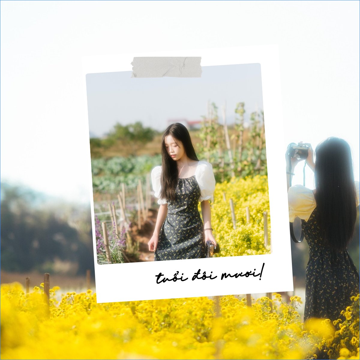 Cá nhân, nhân vật, personal style, signature, dễ thương, cute