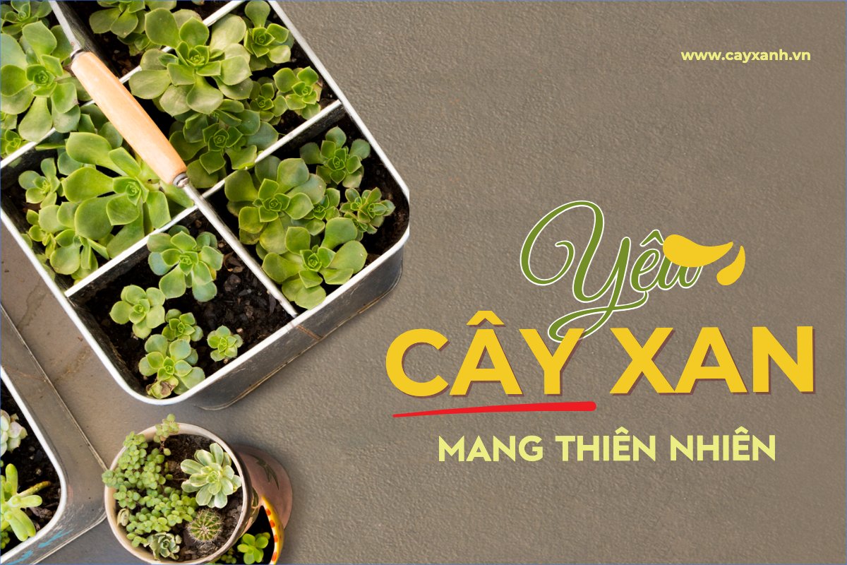 Cây xanh, nông sản, agricultural, farm