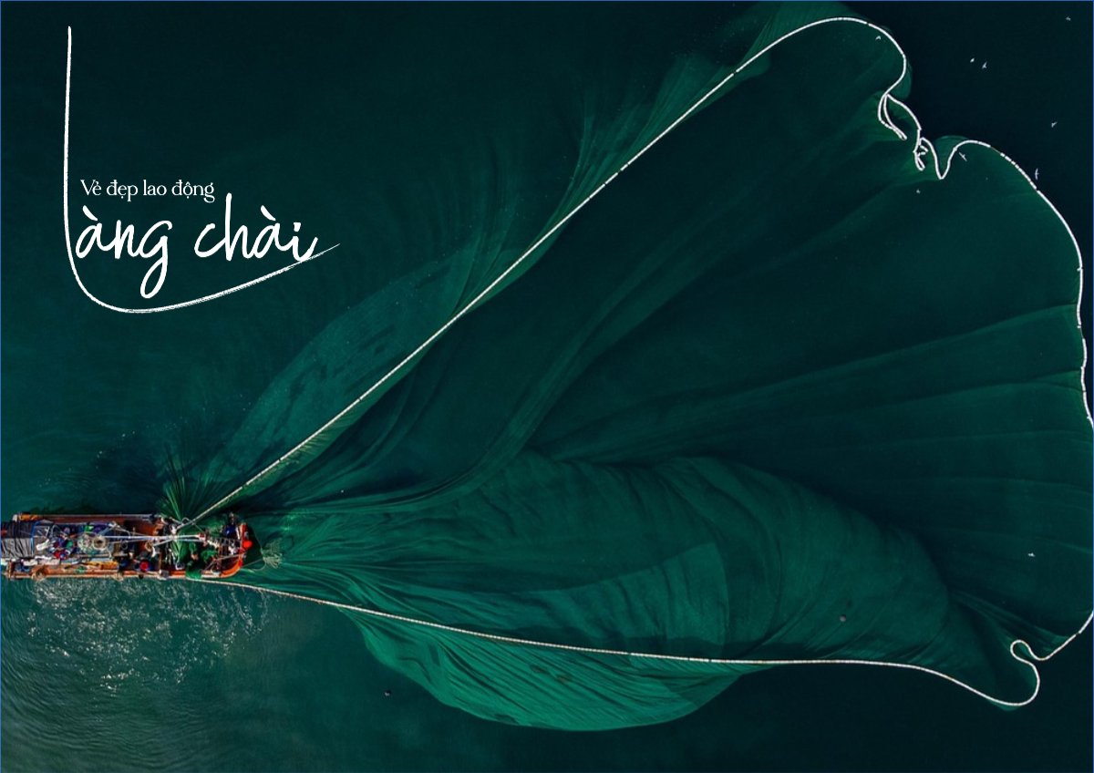 Cá nhân, nhân vật, personal style, signature, sông nước, biển, sea