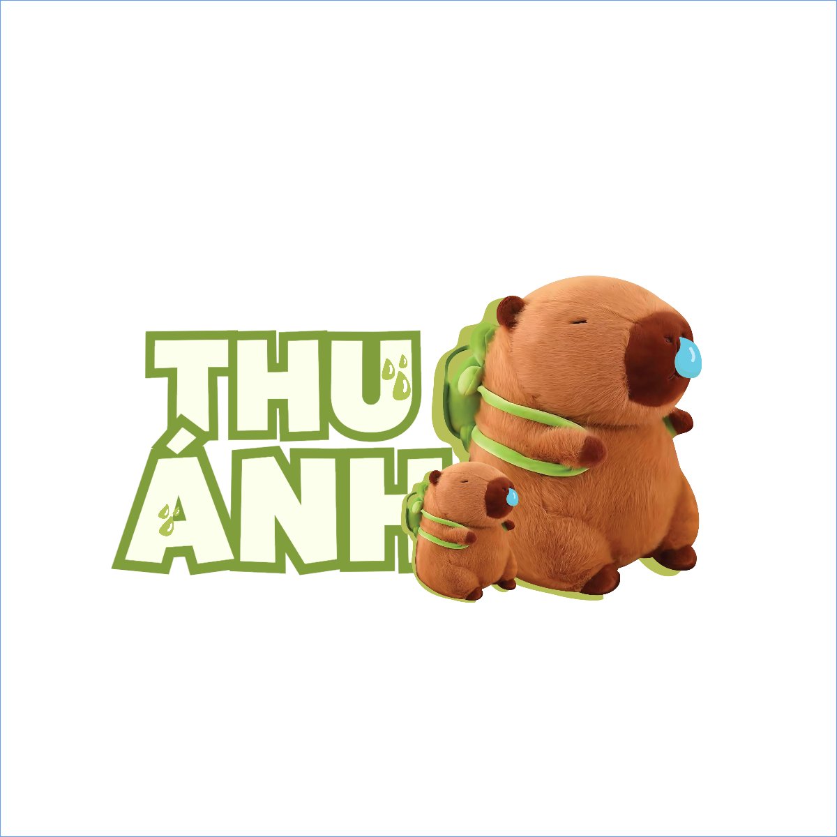 Capybara, chuột lang nước, trending, hot, viral, xu hướng, thịnh hành