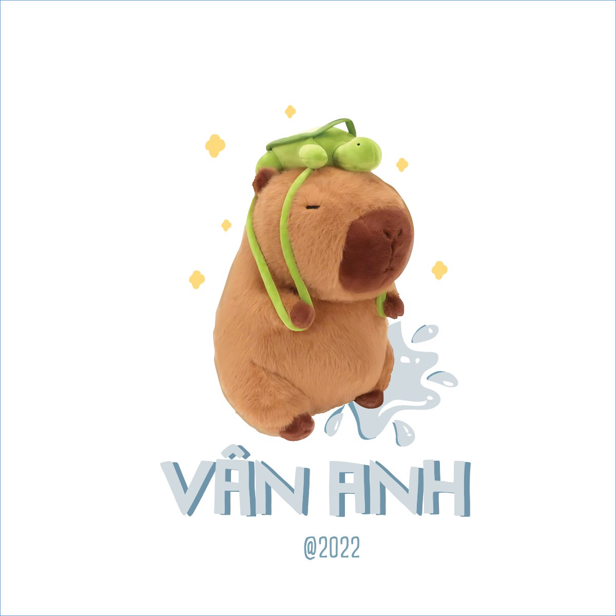 Capybara, chuột lang nước, trending, hot, viral, xu hướng, thịnh hành