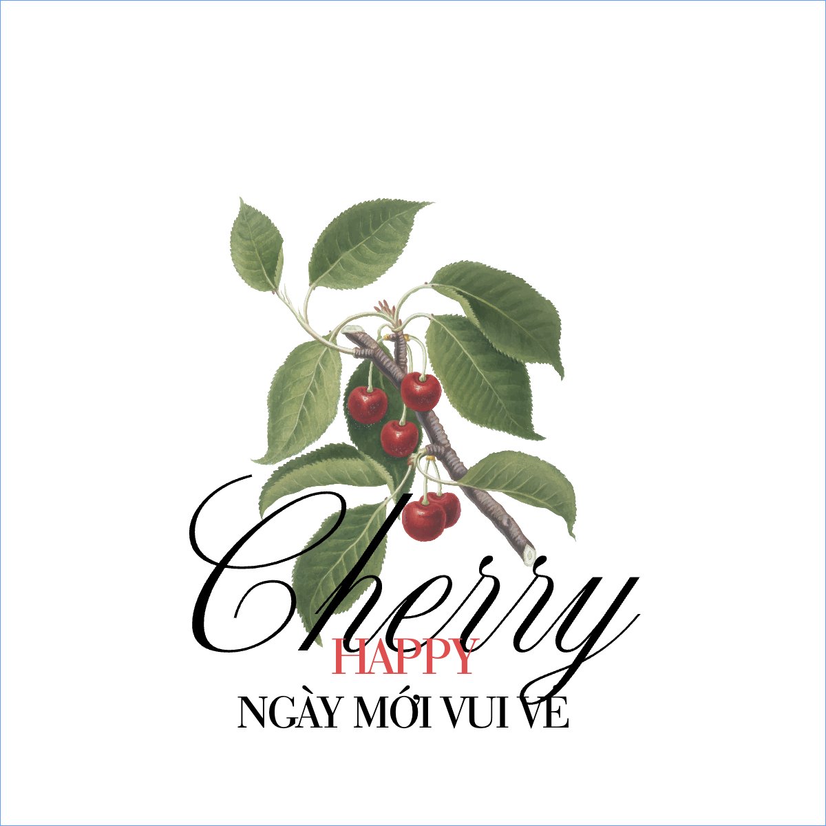 Cherry, trending, hot, viral, xu hướng, thịnh hành
