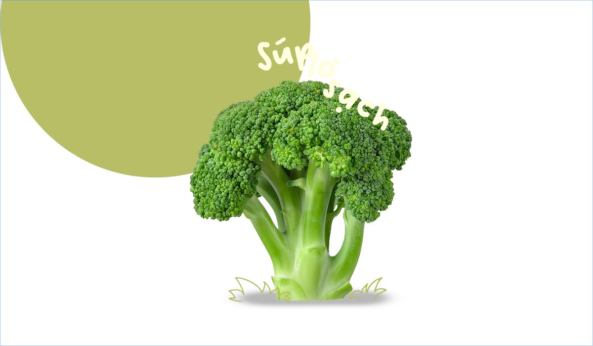 Mẫu Hashtag cầm tay Nông sản, agricultural, farm, vegetable, rau củ — LayerPic