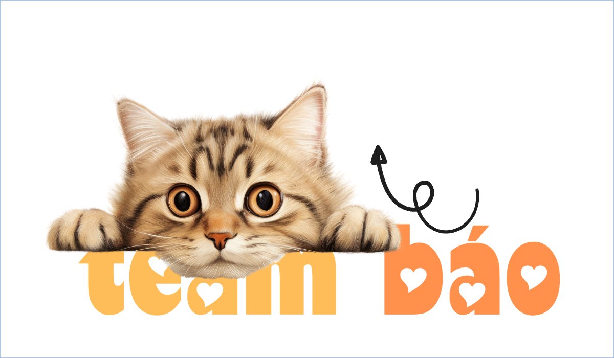 Pet, thú cưng, thú nuôi, động vật, animal, mèo, cat